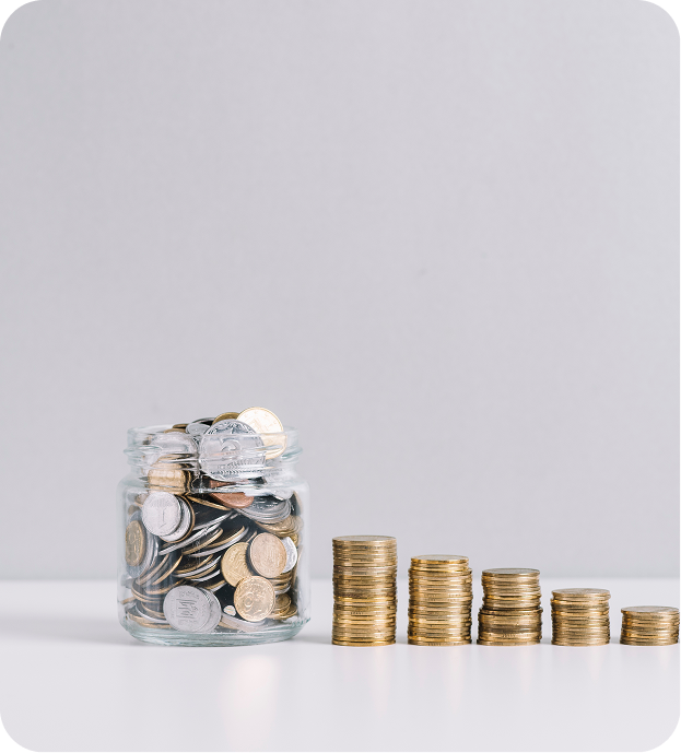 Loan Sourcing & Recovery Report